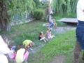 gal/13_14/Kophaza/_thb_K_ph_zi_zar_ndoklat_2013_040.jpg